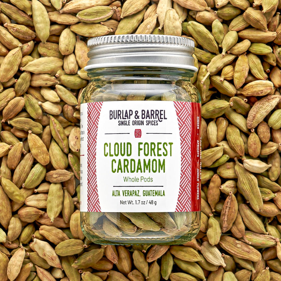 Cloud Forest Cardamom whole pods jar by Burlap & Barrel displayed on cardamom background