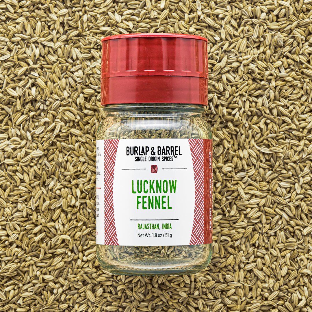 Burlap & Barrel Lucknow Fennel spice jar with red lid on fennel seeds background