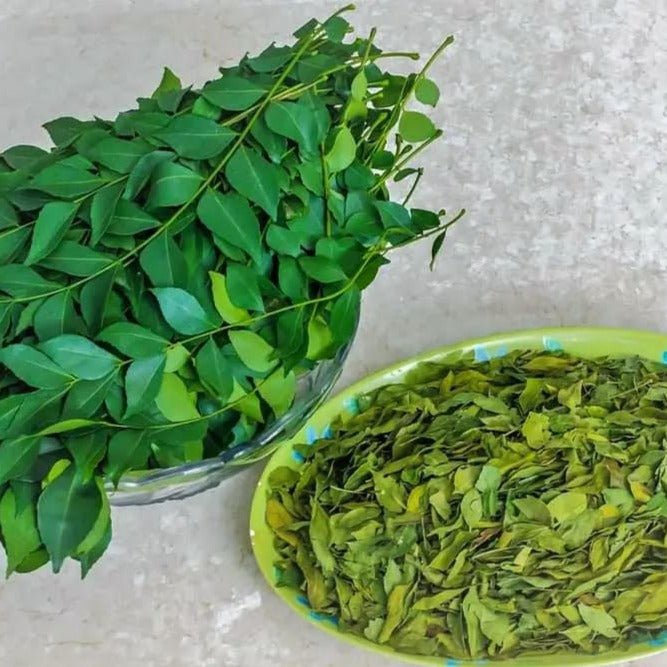 Fresh curry leaves in a glass bowl and dried curry leaves on a yellow plate