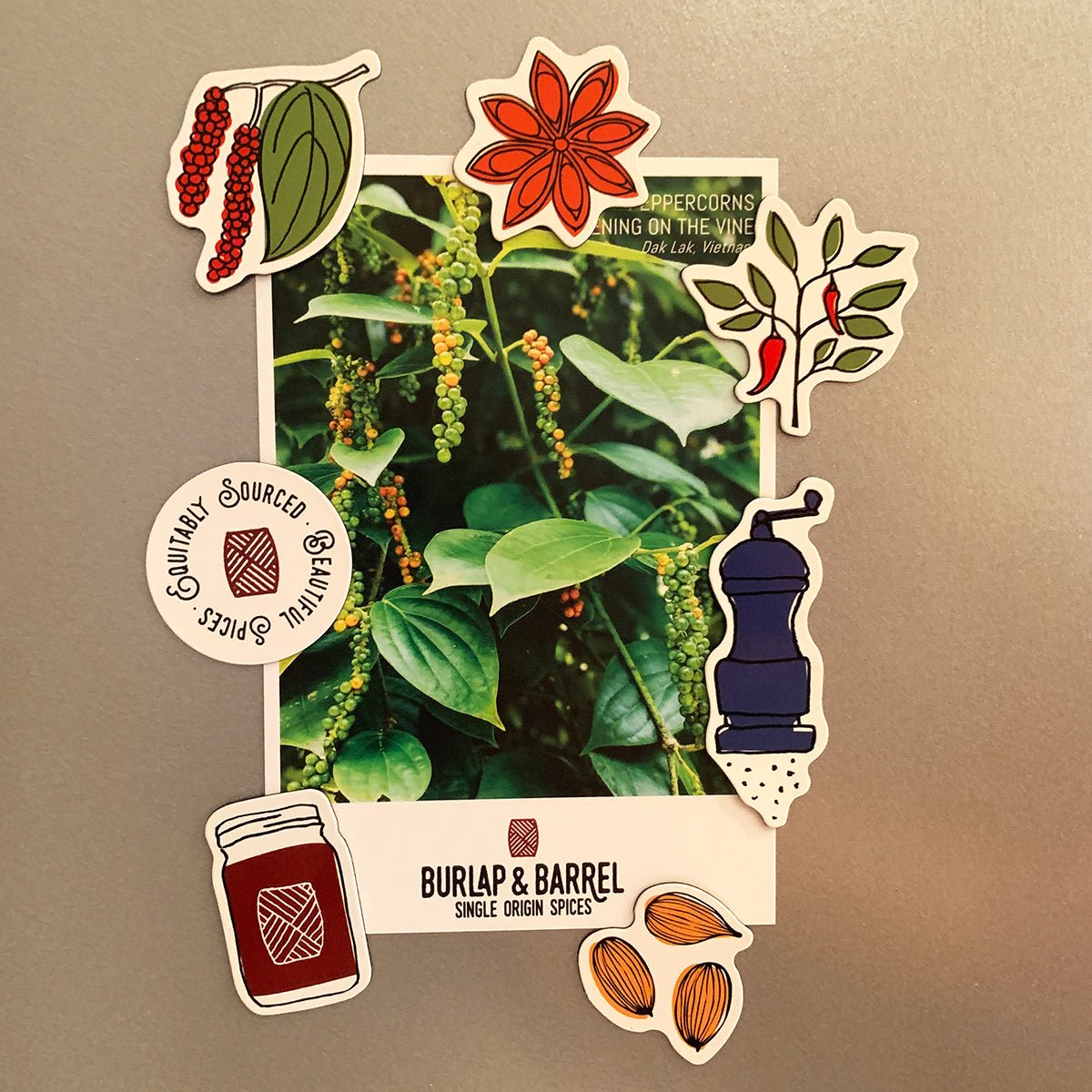 Burlap & Barrel single origin spices map magnet featuring peppercorns, allspice flower, and almonds with jar and plant imagery