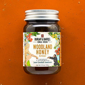 5.5oz Amber Woodland Honey from Burlap & Barrel
