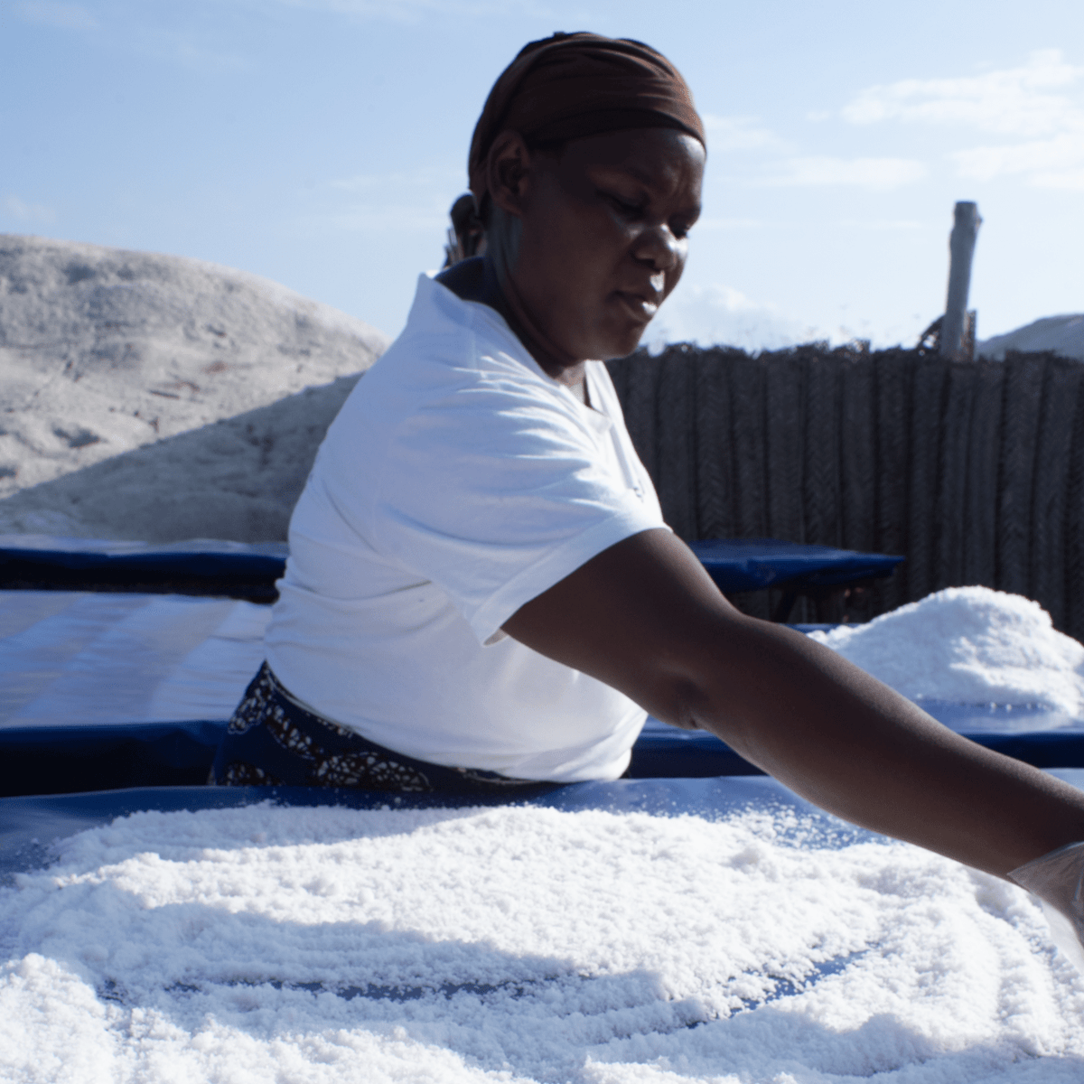 Wind-Blown Sea Salt