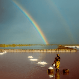 Partner farmer standing in water with a basket of salt next to her and looking on at a rainbow that is in the distance. 