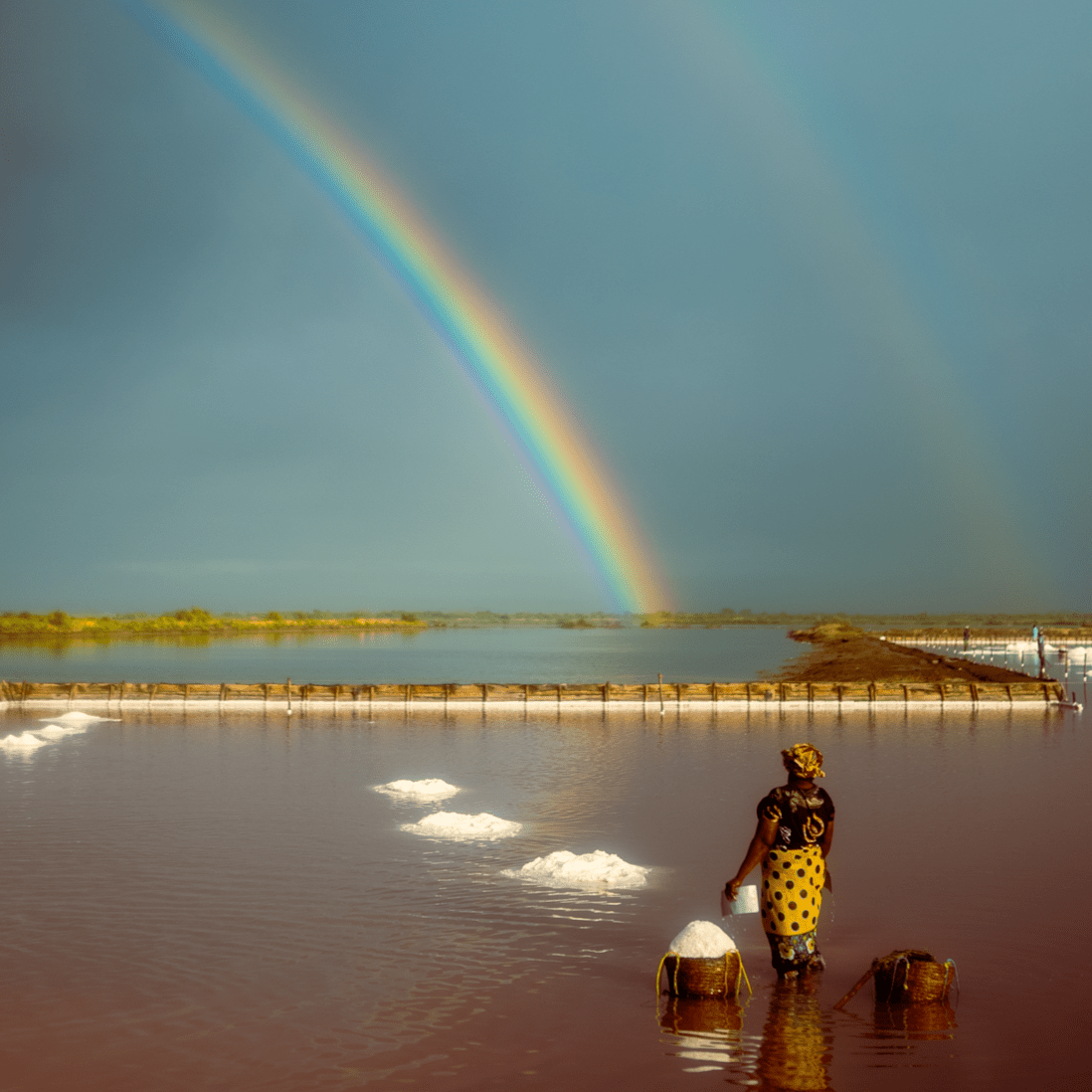 Partner farmer standing in water with a basket of salt next to her and looking on at a rainbow that is in the distance. 