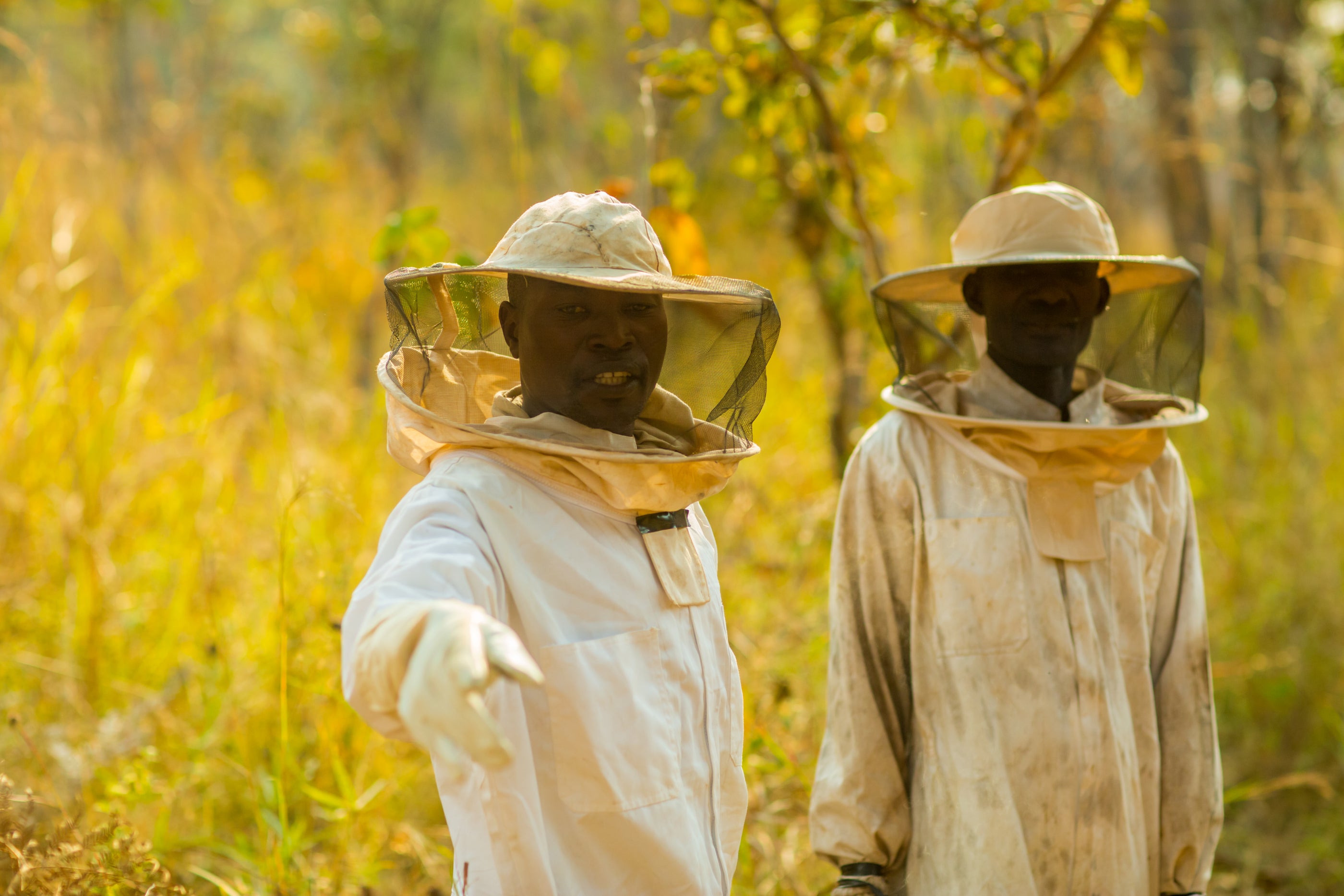 Two people in beekeeping suits standing in the Miombo woodlands 