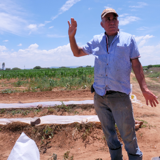 Partner Farmer Don Jesús in his heirloom chili field from Burlap & Barrel