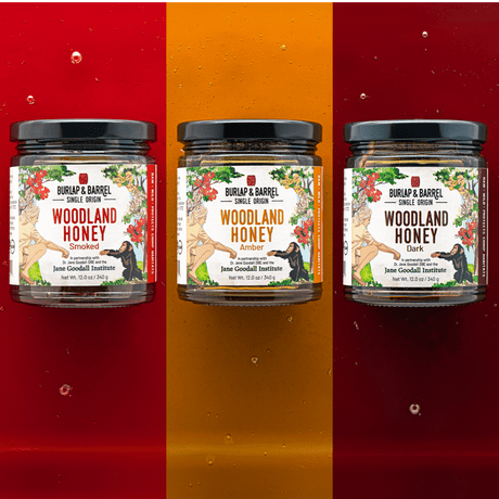 Three jars of Burlap & Barrel Woodland Honey on orange, yellow and red background. 