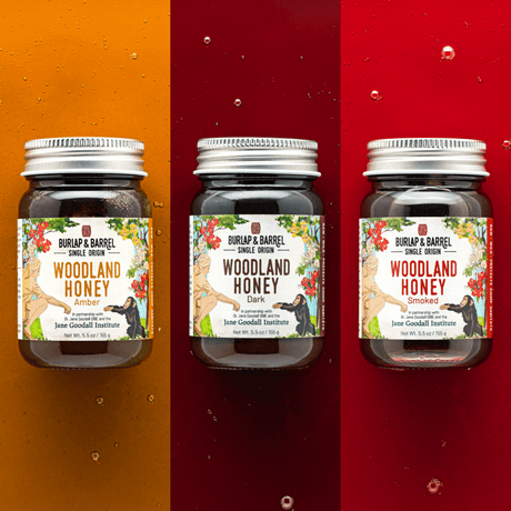 3 Pack of Woodland Honey from Burlap & Barrel: Amber, Dark & Smoked