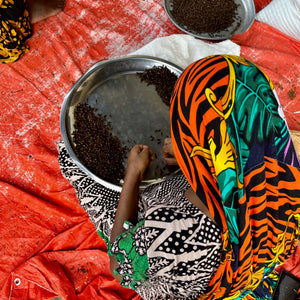 Woman in Zanzibar sorting Cloves