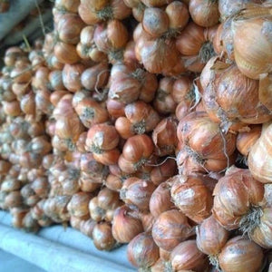 Purple Shallot Powder